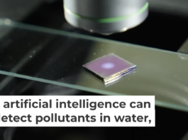 Nanoparticles on a glass slide amplify the sensitivity of a microscope to detect trace amounts of hazardous pollutants. Brandon Martin/Rice University